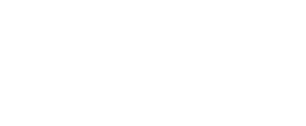 KZL LOGO_white